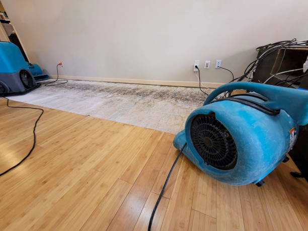 Professional Water Removal technician working in Whitehouse, OH
